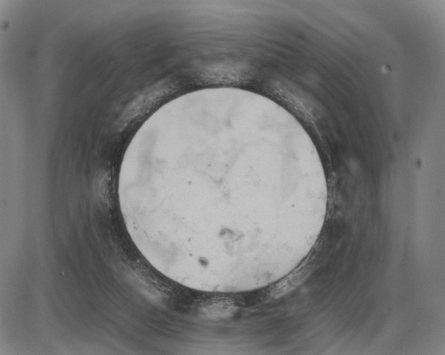 X0000086290162200703301145