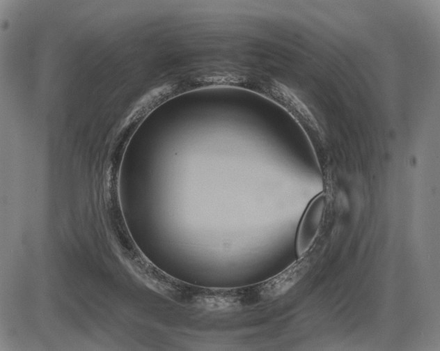 X0000086290163200703301145