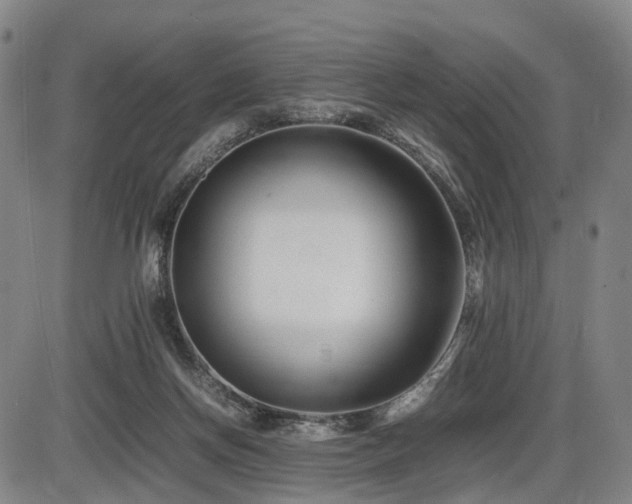 X0000086290166200703301145