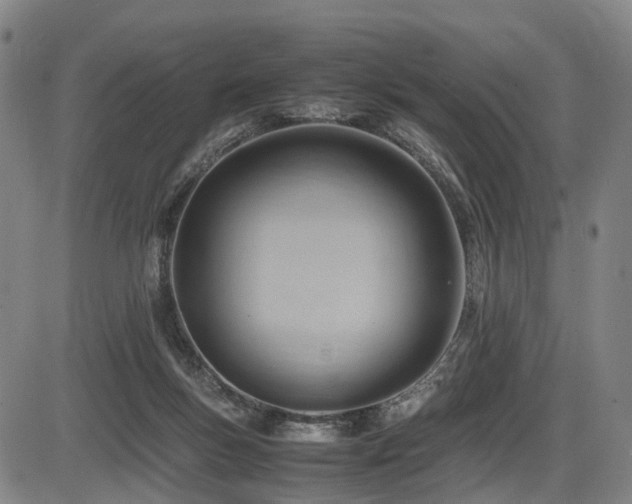 X0000086290167200703301145