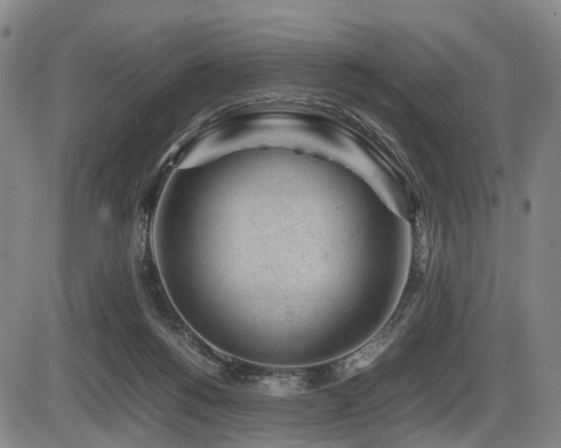 X0000086290168200703301145