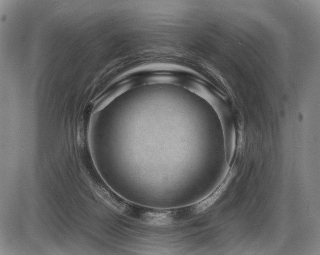 X0000086290170200703301145
