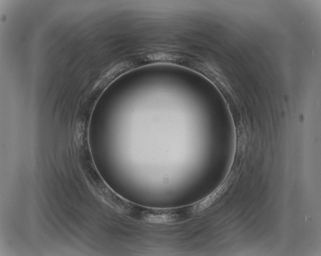 X0000086290171200703301145
