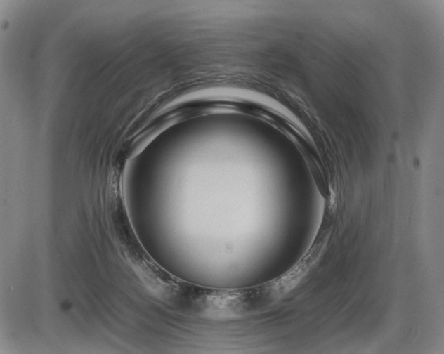 X0000086290172200703301145
