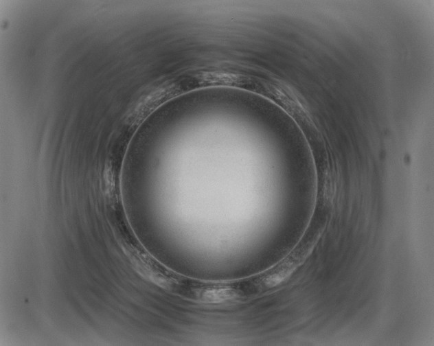 X0000086290173200703301145