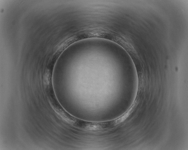 X0000086290174200703301145