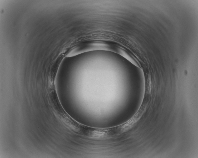 X0000086290176200703301145