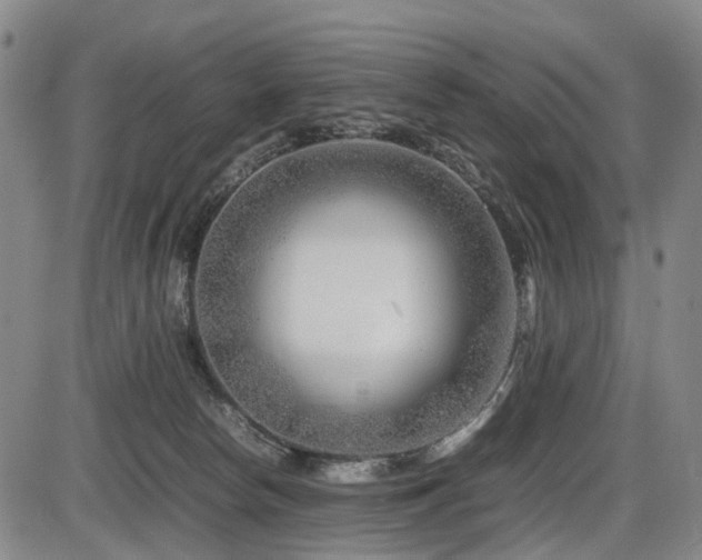 X0000086290178200703301145