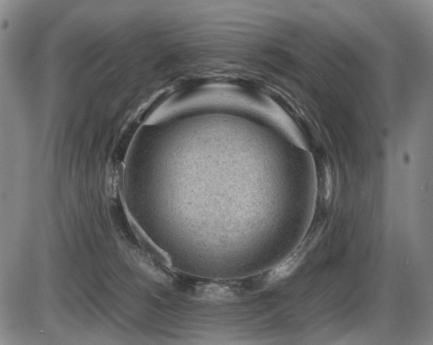 X0000086290180200703301145