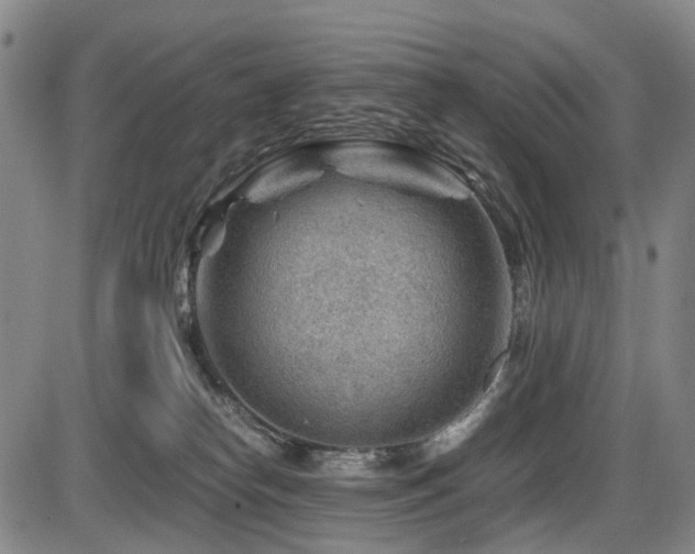 X0000086290182200703301145