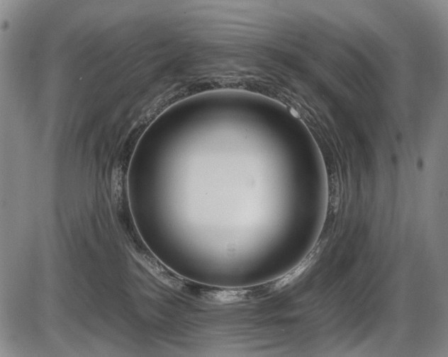 X0000086290184200703301145