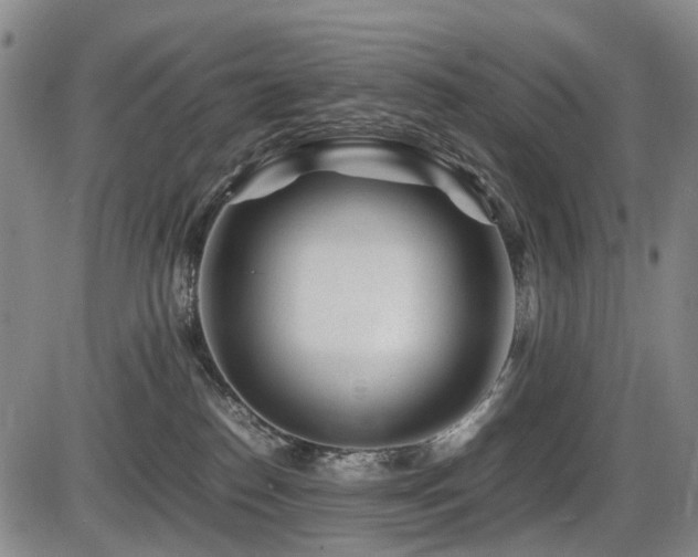 X0000086290186200703301145