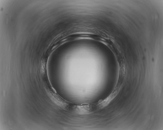 X0000086290188200703301145