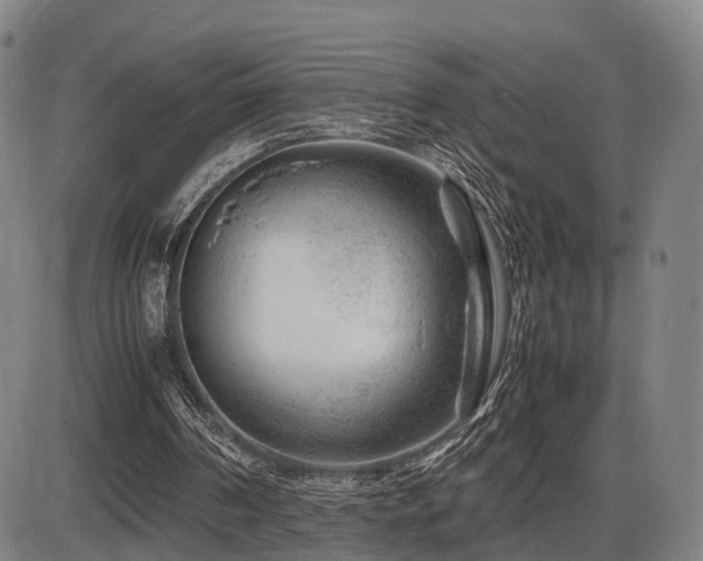 X0000086290194200703301145