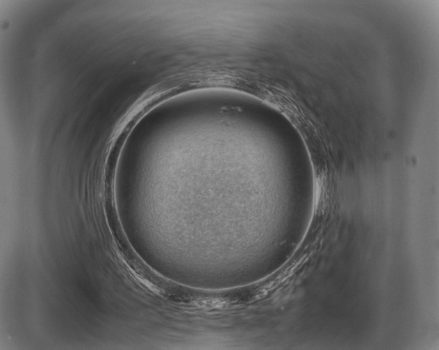 X0000086290195200703301145