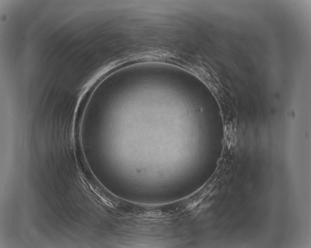 X0000086290196200703301145
