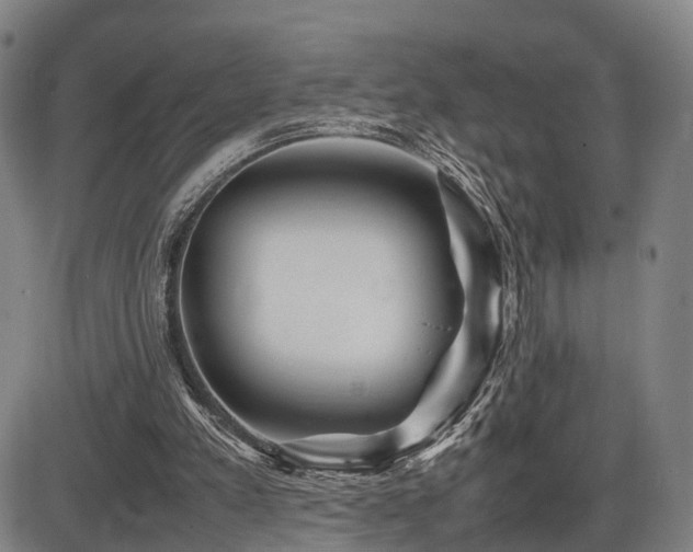 X0000086290197200703301145