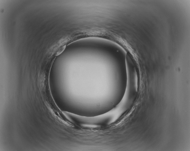 X0000086290201200703301144