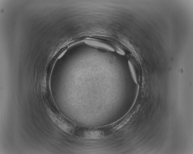 X0000086290202200703301144