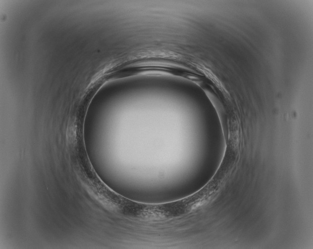 X0000086290207200703301144
