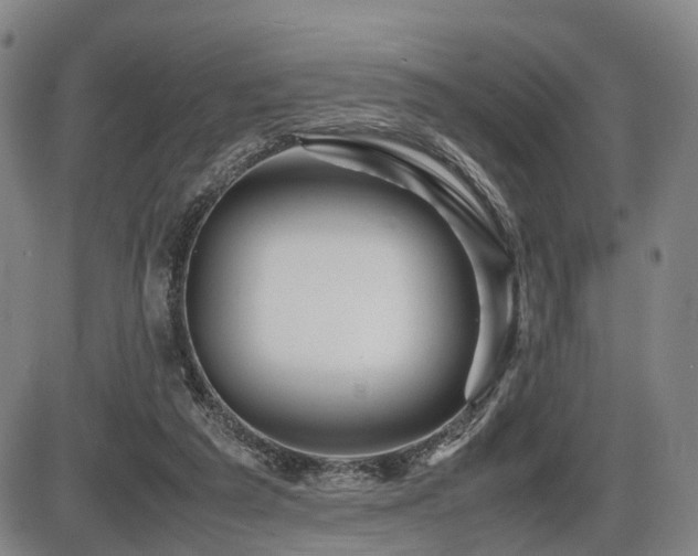 X0000086290209200703301144