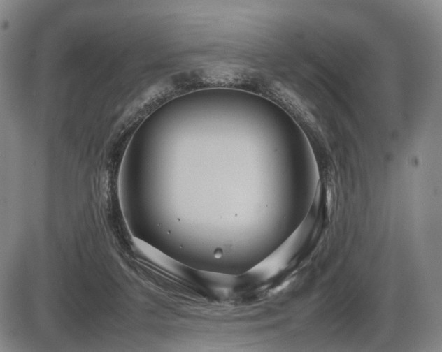 X0000086290211200703301144