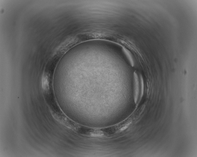 X0000086290214200703301144