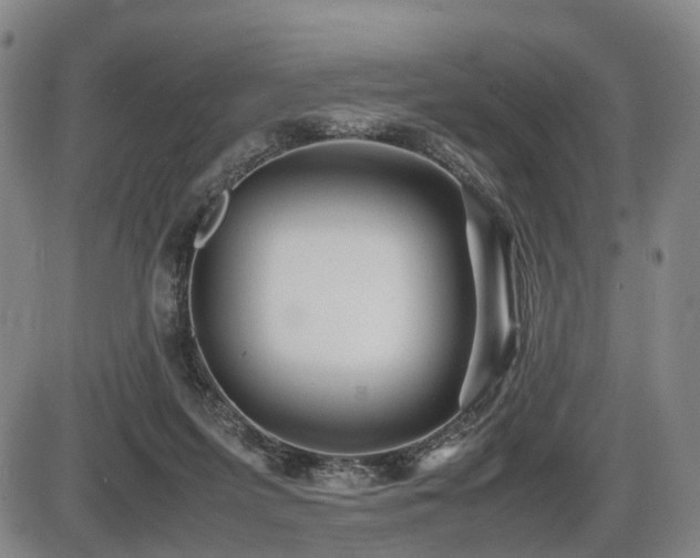 X0000086290215200703301144