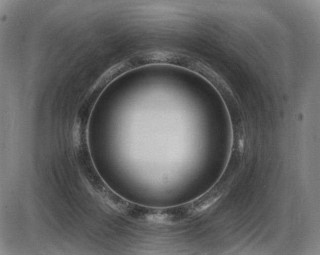 X0000086290216200703301144