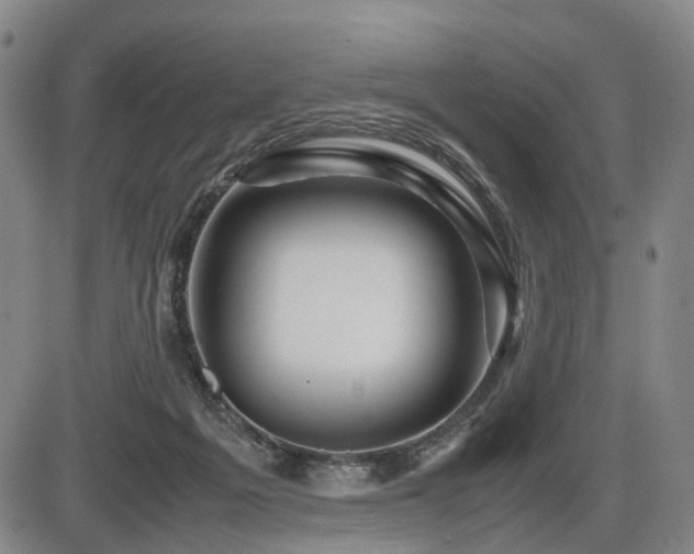 X0000086290217200703301144