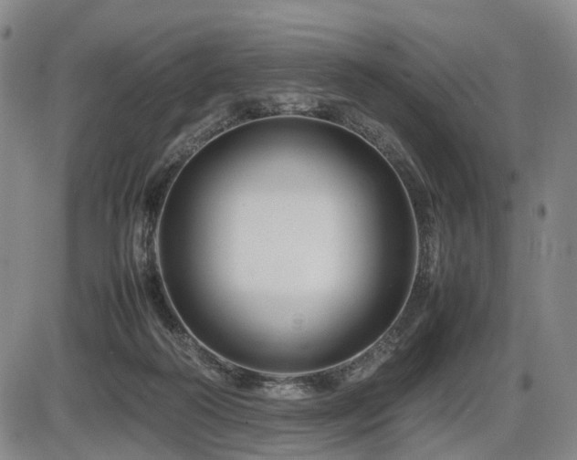 X0000086290218200703301144