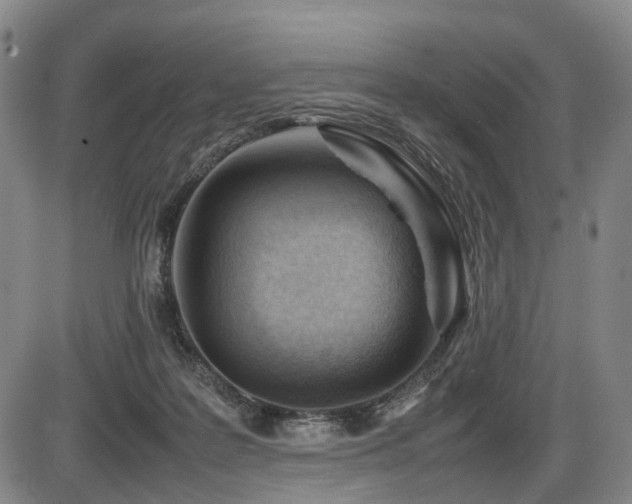 X0000086290219200703301144