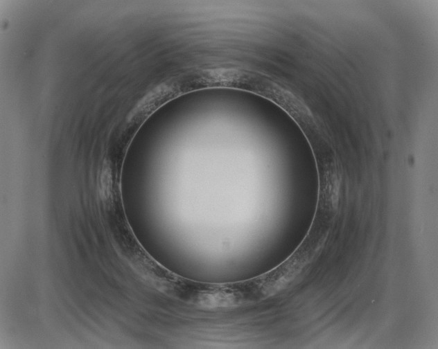 X0000086290220200703301144