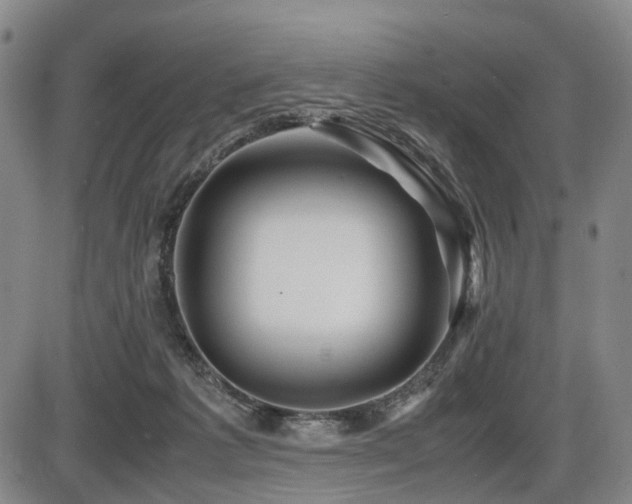 X0000086290221200703301144