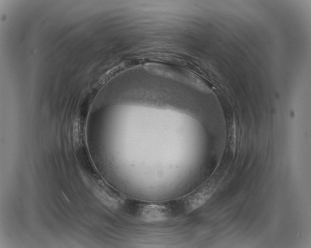 X0000086290222200703301144
