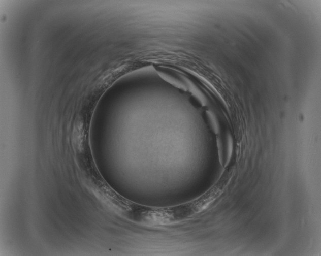 X0000086290223200703301144