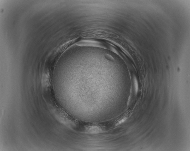 X0000086290224200703301144