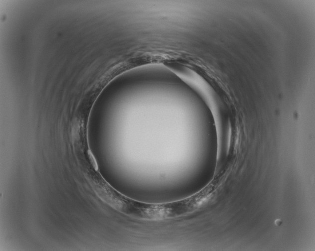 X0000086290225200703301144