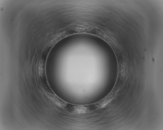 X0000086290226200703301144