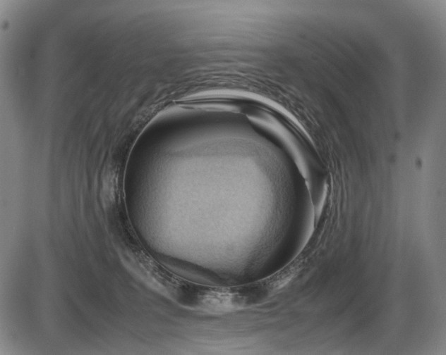 X0000086290227200703301144