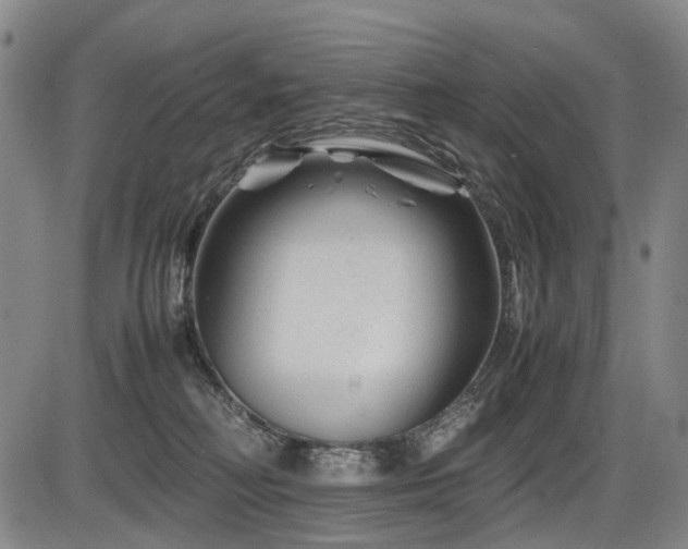 X0000086290230200703301144