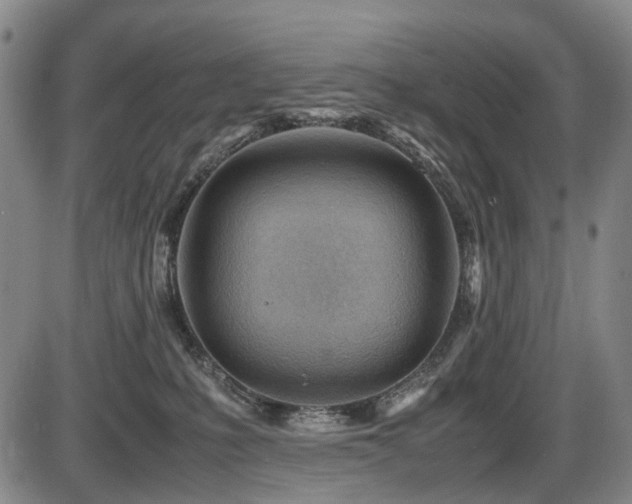 X0000086290231200703301144