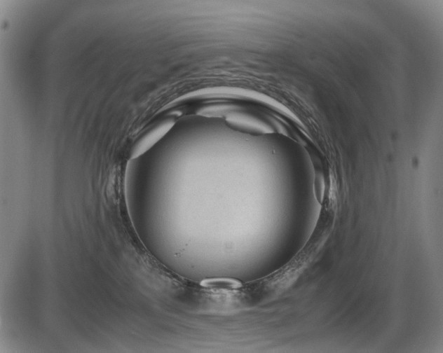 X0000086290233200703301144