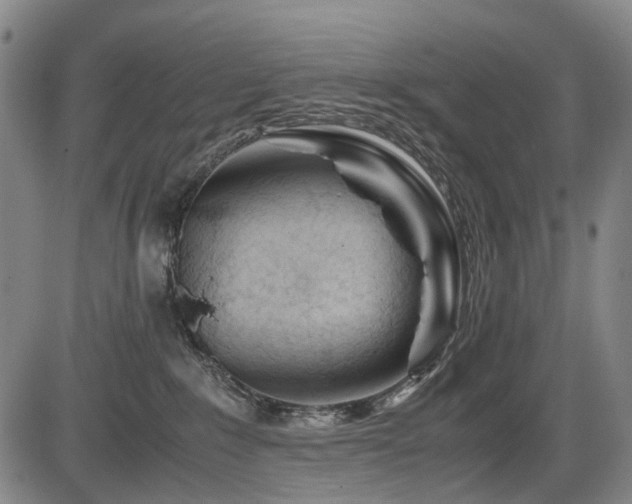X0000086290235200703301144
