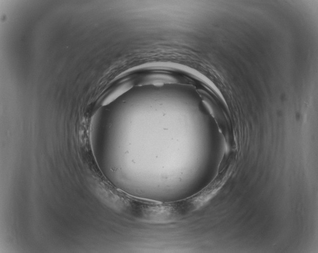 X0000086290237200703301144