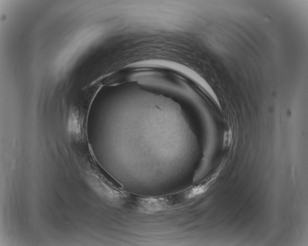 X0000086290239200703301144