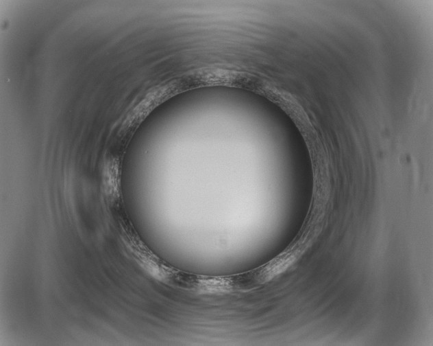 X0000086290240200703301144