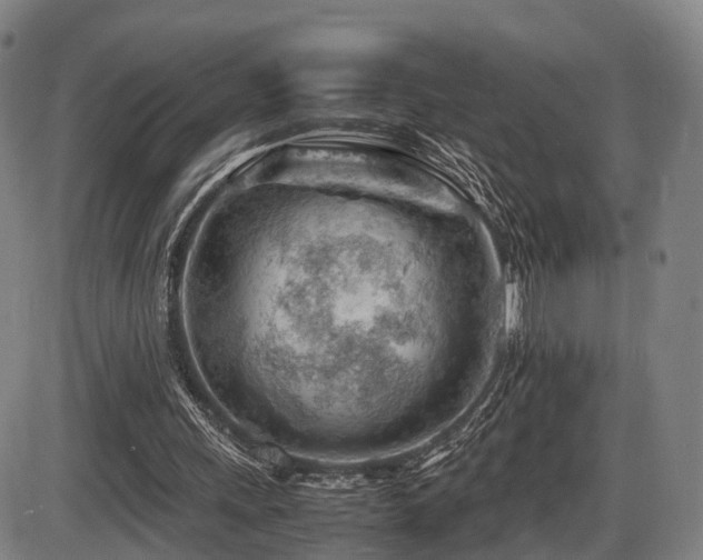 X0000086290243200703301143