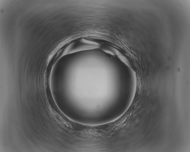 X0000086290244200703301143