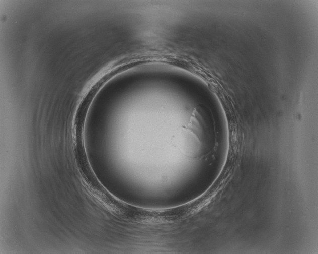 X0000086290246200703301143